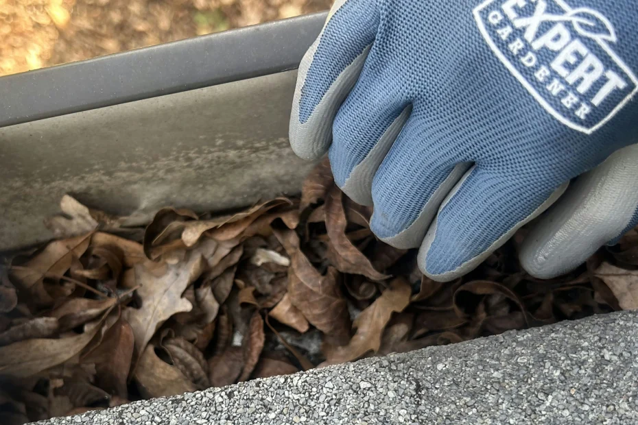 Gutter Cleaning Hudson Bend TX