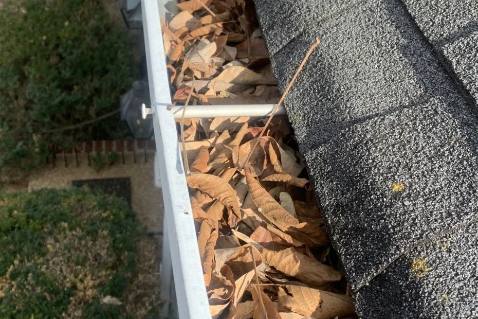 Gutter Cleaning Hudson Bend TX