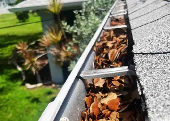 Gutter Cleaning Hudson Bend TX home page